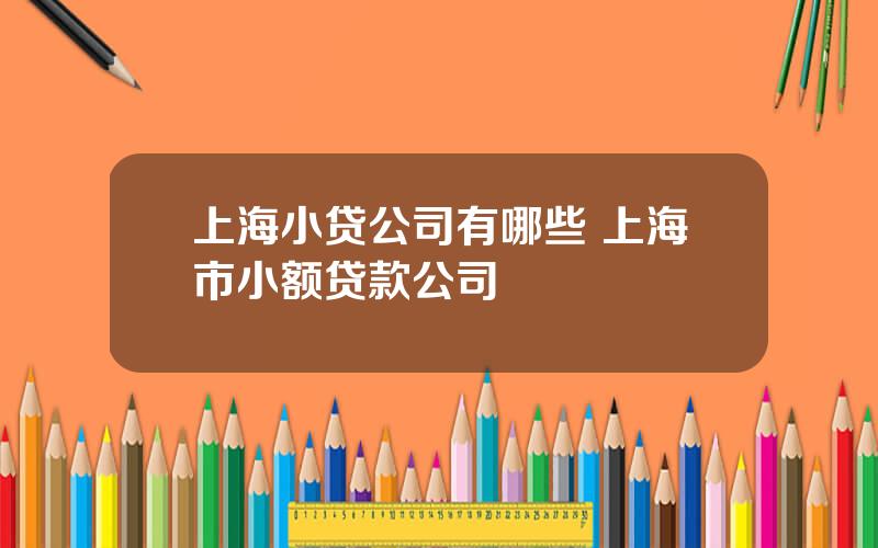 上海小贷公司有哪些 上海市小额贷款公司